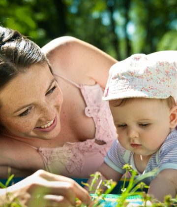 What are the different adoption plans?